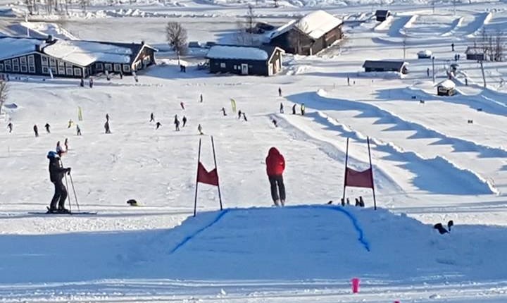 En bild
