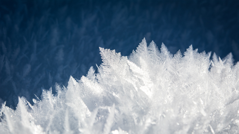 Snöflingor i närbild mot blå bakgrund. Foto: canva.com.