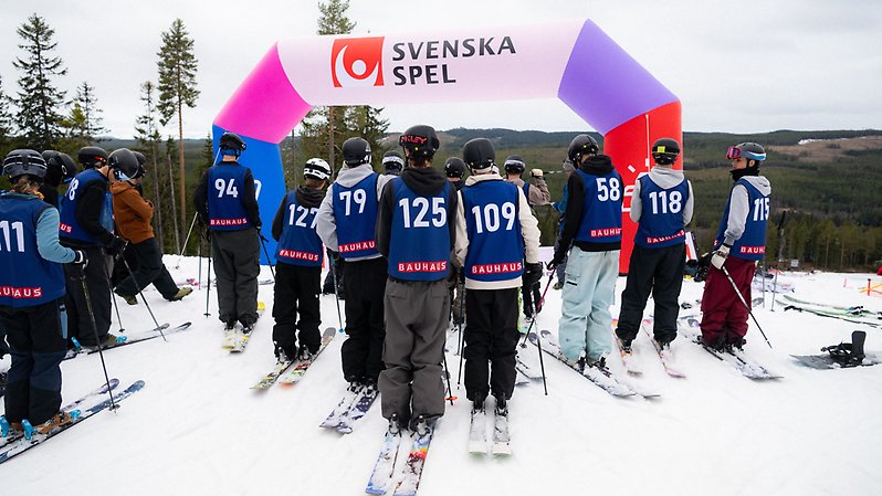 En bild